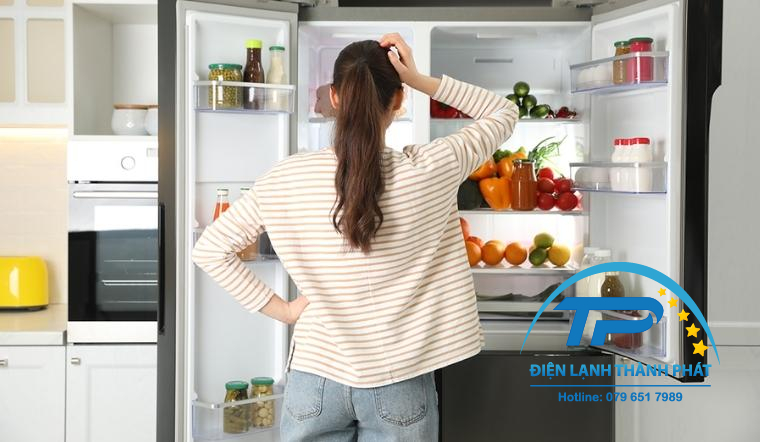 tu-lanh-bị-nghet-gas